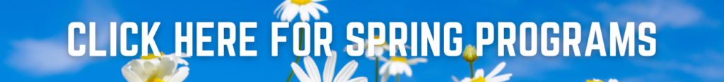 click here for spring programs