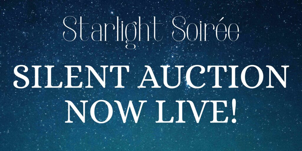 Silent Auction now live!